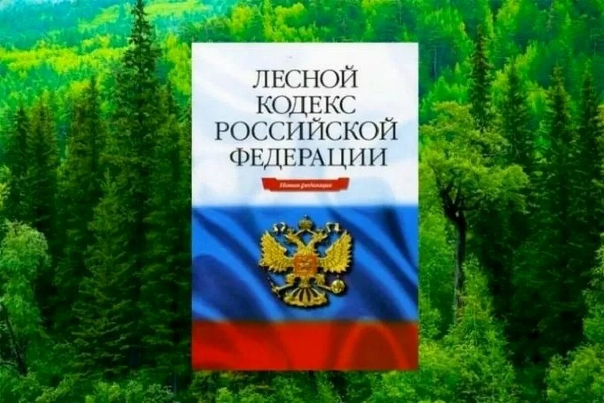 «По инициативе прокуратуры хозяйствующим субъектом приняты меры к обеспечению прослеживаемости древесины в гражданском обороте».